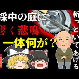 【2018年群馬】「庭の木？切るの手伝うよ」→丸ノコで足を切断し大量出血 彼はなぜノコギリではなく「丸ノコ」を？ 気軽に買える工具の危険 【ゆっくり解説】