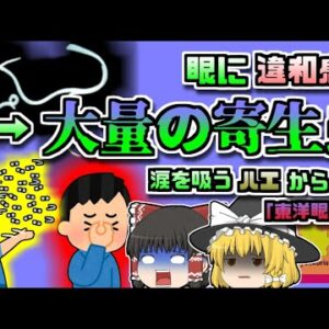 【2018年中国】「なんか目がゴロゴロするな…」X線写真撮影で判明した驚愕の事実「中国東洋眼虫感染事故」【ゆっくり解説】修正版