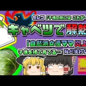 【2019年ｱﾒﾘｶ】「赤ちゃんの熱を取るにはこれが一番♪」→キャベツ枕で女優炎上 服を着せないなどの民間療法も‥･【ゆっくり解説】