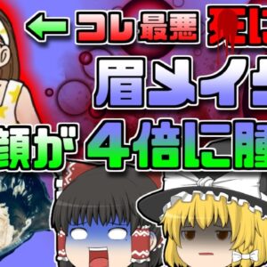 【2019年英国】「眉ティント」で顔が4倍に腫れる!?毛染液アレルギーの恐怖【ゆっくり解説】