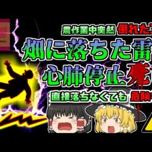 【2020年長野】「バァーン!!」突然畑に鳴り響いた轟音…倒れる二人…原因は畑への落雷? 直接落ちなくても危険な「長野落雷事故」【ゆっくり解説】