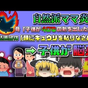 【2020年ｱﾒﾘｶ】子供が40℃の熱を出してるの!→「ハーブを飲ませて頭にキュウリを貼るといいよ」→子供の脳が〇亡『自然派ママ炎上事件』【ゆっくり解説】