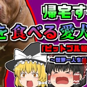 【2022年ｱﾒﾘｶ】帰宅したら妻が犬に食べられていた…『ピットブル襲撃事故』【ゆっくり解説】