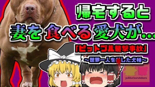 【2022年ｱﾒﾘｶ】帰宅したら妻が犬に食べられていた…『ピットブル襲撃事故』【ゆっくり解説】