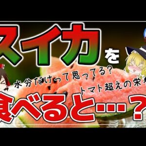 【ゆっくり解説】スイカの健康効果がヤバい！トマト超えの栄養素！？意外すぎるその効能とは？【40代50代に】