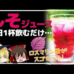 【ゆっくり解説】しそジュース特有の成分がスゴかった！毎日の飲むと糖尿病や心筋梗塞、認知症を予防！アンチエイジングまで【40代50代】
