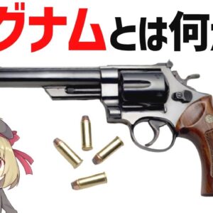 【武器解説】マグナムとは何か？強いのか？44マグナム、357マグナムについて