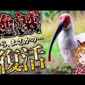 【奇跡】悲劇の絶滅から復活を果たした生き物5選