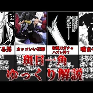 【ゆっくり解説】斬魄刀ガチャでハズレを引いた男 斑目一角【BLEACH】