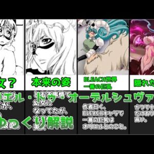 【ゆっくり解説】幼女？いいえ、巨乳美女です。 ネリエル・トゥ・オーデルシュヴァンク【BLEACH】
