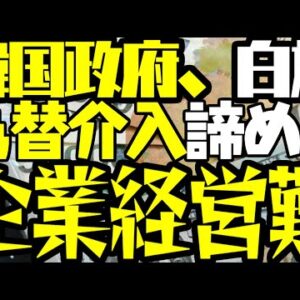 韓国企業が見る地獄（後編）－政府の為替介入限界と原材料価格高騰【ゆっくり解説】