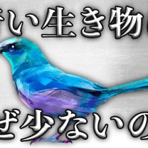 【疑問】青い生き物はなぜ少ないのか？