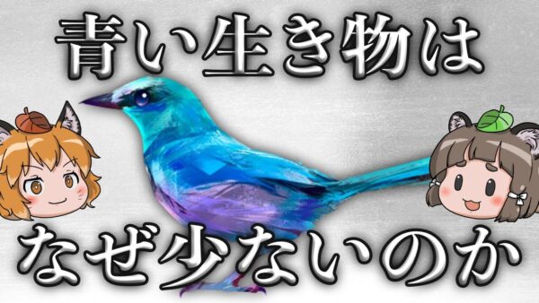 【疑問】青い生き物はなぜ少ないのか？