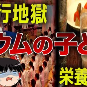 【ゆっくり解説】オウム出家信者の子供の生活を調べたら、地獄かと錯覚した・・・