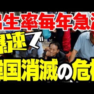 韓国、出生率がさらに急減で国家破滅が早まる模様【ゆっくり解説】