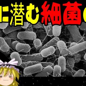 【再編集版】日常に潜む細菌の話！