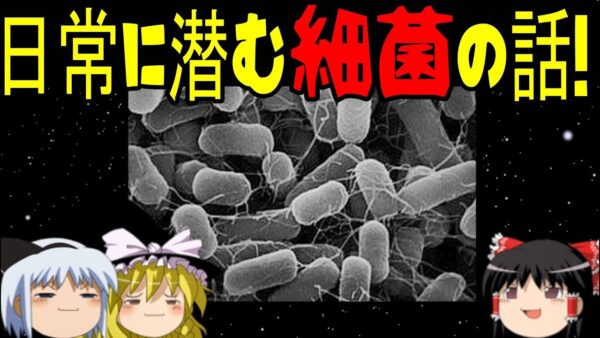 【再編集版】日常に潜む細菌の話！