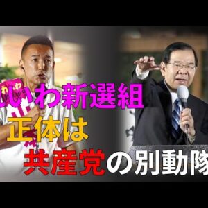 【ゆっくり解説】れいわ新選組の正体は…？共産党との関係を考察
