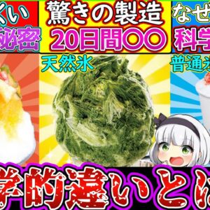 【ゆっくり解説】かき氷の純氷と天然氷の違いとは⁉︎科学的に頭痛や食感の違いを解析‼︎