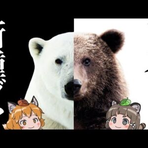 【異変】新種のハイブリッドクマ「ピズリー」の前代未聞な誕生理由