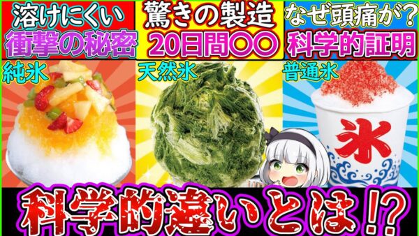 【ゆっくり解説】かき氷の純氷と天然氷の違いとは⁉︎科学的に頭痛や食感の違いを解析‼︎