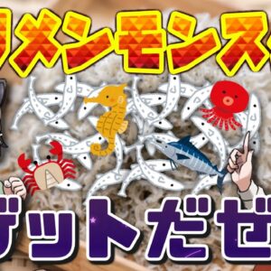 【宝探し】チリモンゲットだぜ！ちりめんじゃこから激レア生物を見つけ出せ！