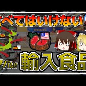【ゆっくり解説】輸入食品の闇！そのチェック方法がヤバかった件について【添加物】