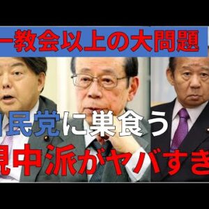 【ゆっくり解説】カルトよりヤバい！？自民党の親中派議員たち