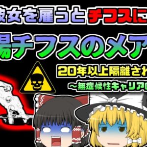 【1883年ｱﾒﾘｶ】倒れる家族たちの中心には、いつも彼女がいた『腸チフスのメアリー』 ~無症候性キャリアとして隔離された20年あまり~【ゆっくり解説】