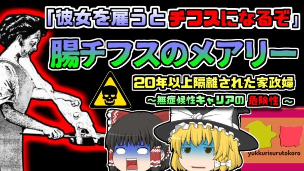 【1883年ｱﾒﾘｶ】倒れる家族たちの中心には、いつも彼女がいた『腸チフスのメアリー』 ~無症候性キャリアとして隔離された20年あまり~【ゆっくり解説】