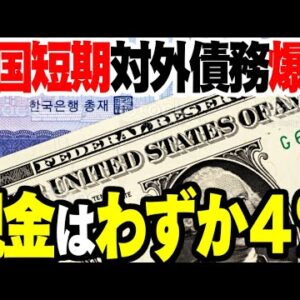 韓国、短期対外債務が開花準備高の4割越え＆真水はたったの4％【ゆっくり解説】