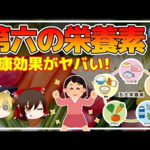 【ゆっくり解説】分解されないのに必要？5大栄養素に次ぐ第6の栄養素！血糖値や中性脂肪値、コレステロール値の上昇を抑える効果も