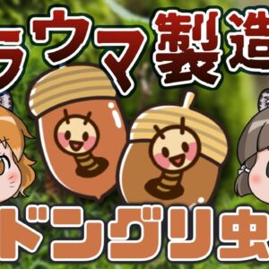 木の実に潜むトラウマ製造機！ドングリ虫【へんないきもの#86】