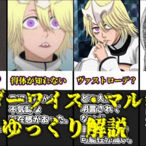 【ゆっくり解説】実は破面で最も活躍したキャラ ワンダーワイス・マルジェラ【BLEACH】