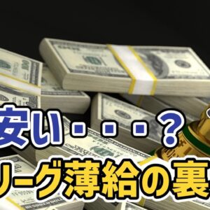 【ゆっくり解説】Jリーガーの給料は安い？Jリーグ薄給の裏事情【サッカー】