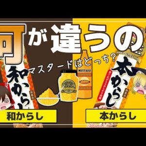 【ゆっくり解説】『和からし』と『本からし』って？意外に知らないその違いとは
