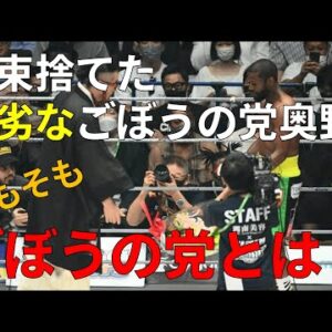 【ゆっくり解説】ごぼうの党とはどんな政党？