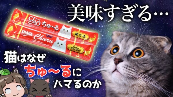【中毒】猫はなぜ「ちゅ～る」にドハマリするのか｜いなばペットフードの巧妙な戦略とは