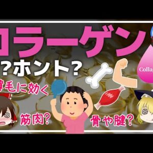 【ゆっくり解説】薄毛への効果がヤバすぎる？お肌にイイだけじゃない！コラーゲンにまつわるウソ・ホント！