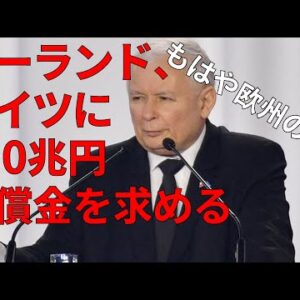 【政治まとめ】ポーランドの様子が少しおかしい件