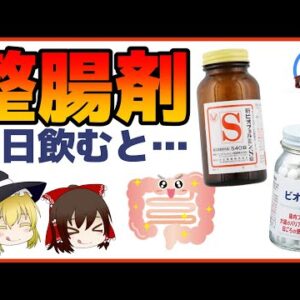 【ゆっくり解説】整腸剤を毎日飲むと…整腸剤は食べ物！？ビオフェルミンとビオスリーの違いについて！