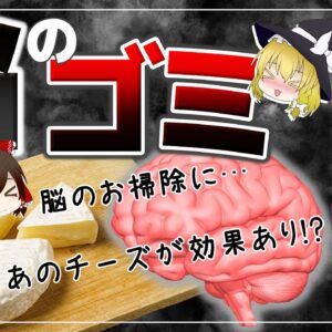 【ゆっくり解説】認知症はあのチーズで防げる？脳のゴミを取り除く食べ物とは