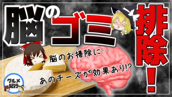 【ゆっくり解説】認知症はあのチーズで防げる？脳のゴミを取り除く食べ物とは