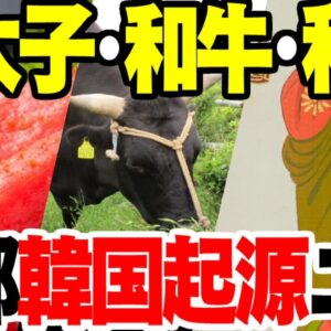 韓国起源説の嘘を暴く―明太子、和牛、衣類―【ゆっくり解説】