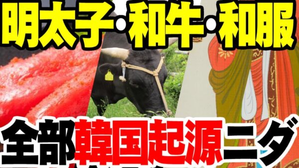 韓国起源説の嘘を暴く―明太子、和牛、衣類―【ゆっくり解説】