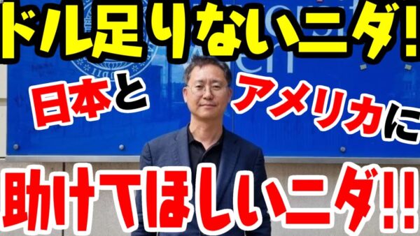 韓国大学教授「ドルがない！助けて日本とアメリカ！スワップよろしく」→は？【ゆっくり解説】