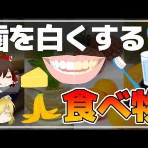 【ゆっくり解説】食べ物だけでホワイトニング？歯を白くする食べ物！意外な着色の原因につて