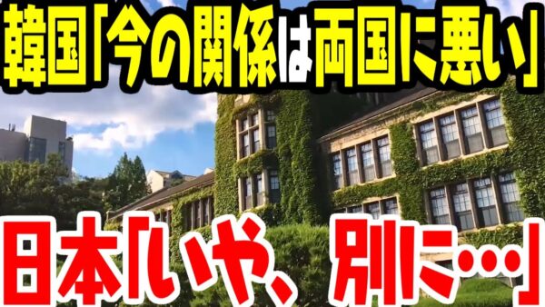 韓国側、日韓関係悪化のダメージを痛み分けだったことにしたい【ゆっくり解説】