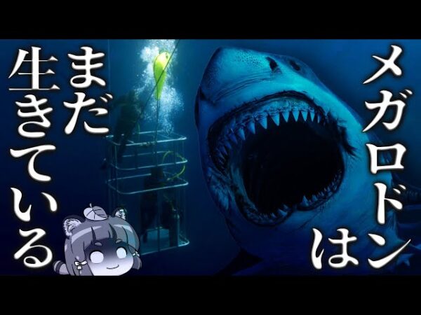 【生存説】メガロドンはまだ生きてる！？古代の巨大ザメが絶滅してない10の証拠
