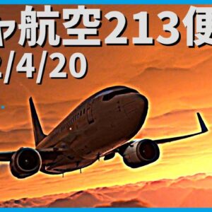 #167 ボジャ航空213便│着陸間際に乱気流に突入、失速し急降下の結果地表に激突